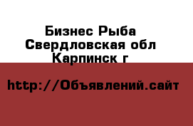 Бизнес Рыба. Свердловская обл.,Карпинск г.